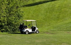Golf Cart bateria Exide _240