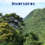 Inversores